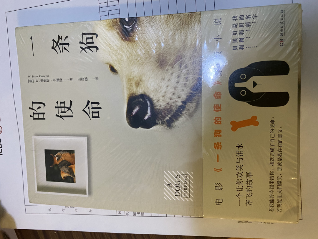 CSIS-GREAT评级精品钱币拍卖第四十期 一条狗的使命