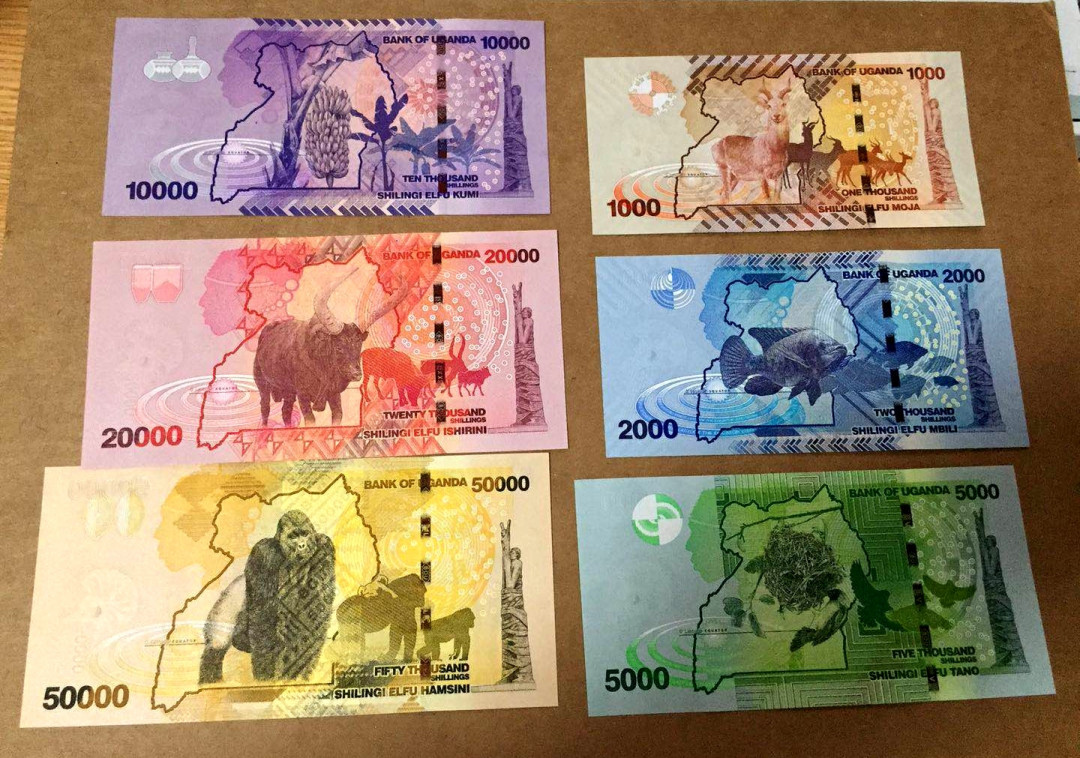 【收藏联盟】第146期拍卖——北非后花园（共50拍） 【一组6张】乌干达 2010-2013年 1000-50000先令 UNC 非常漂亮 年度最佳纸币