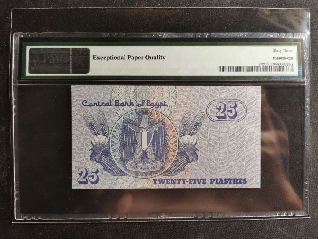 【鲸贝乐淘】千字文·第“容止若思，言辞安定”号拍卖 【埃及🇪🇬 】1990-1999年25元，PMG65E 