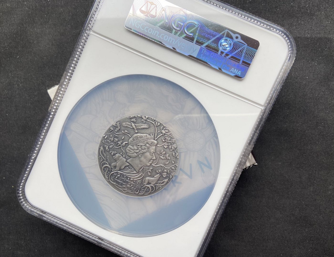 【币观天下】第112期钱币拍卖～ 【纽埃】斯拉夫神系列-雷神-【蓝标ngc70】