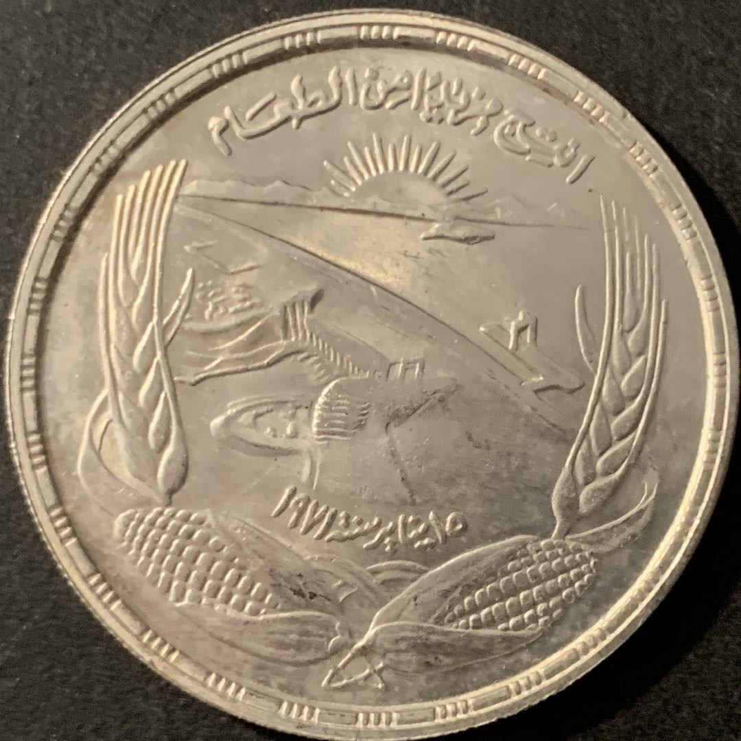 紫瑗钱币—微拍第78期  埃及 1973年 阿斯旺大坝 1磅 25克 0.72银 UNC