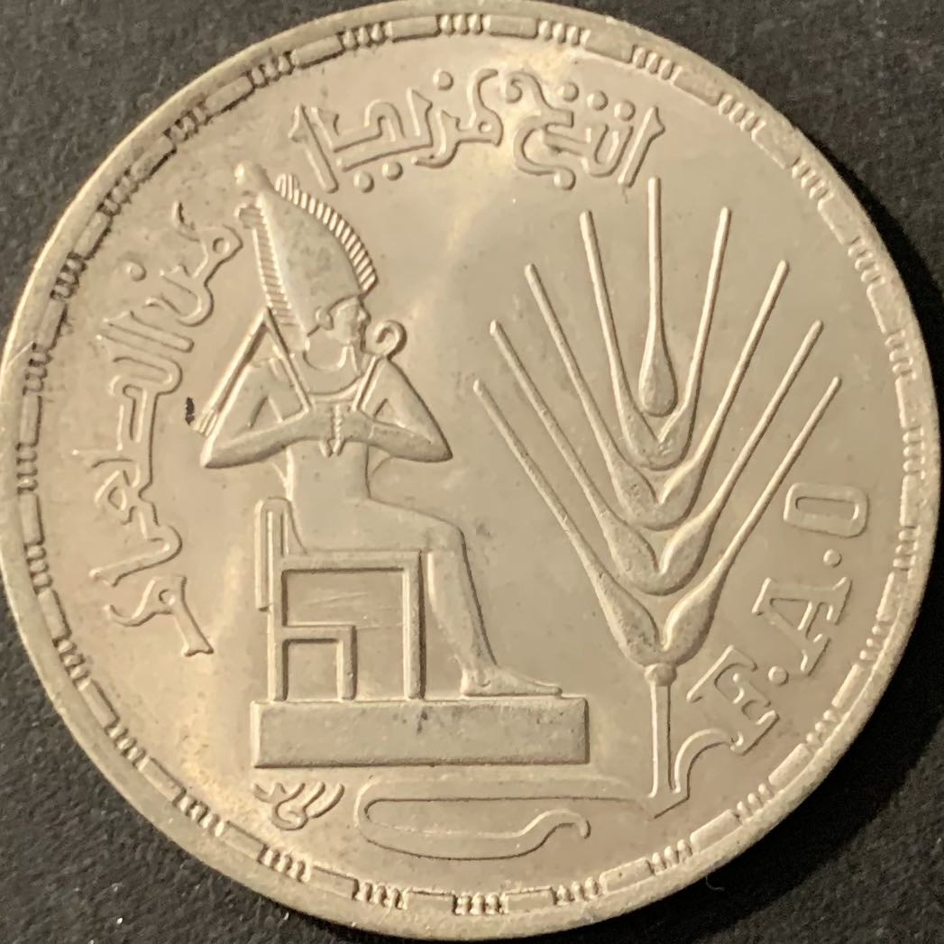 紫瑗钱币—微拍第78期  埃及 1976年 FAO粮农组织 1磅 15克 0.72银 BU