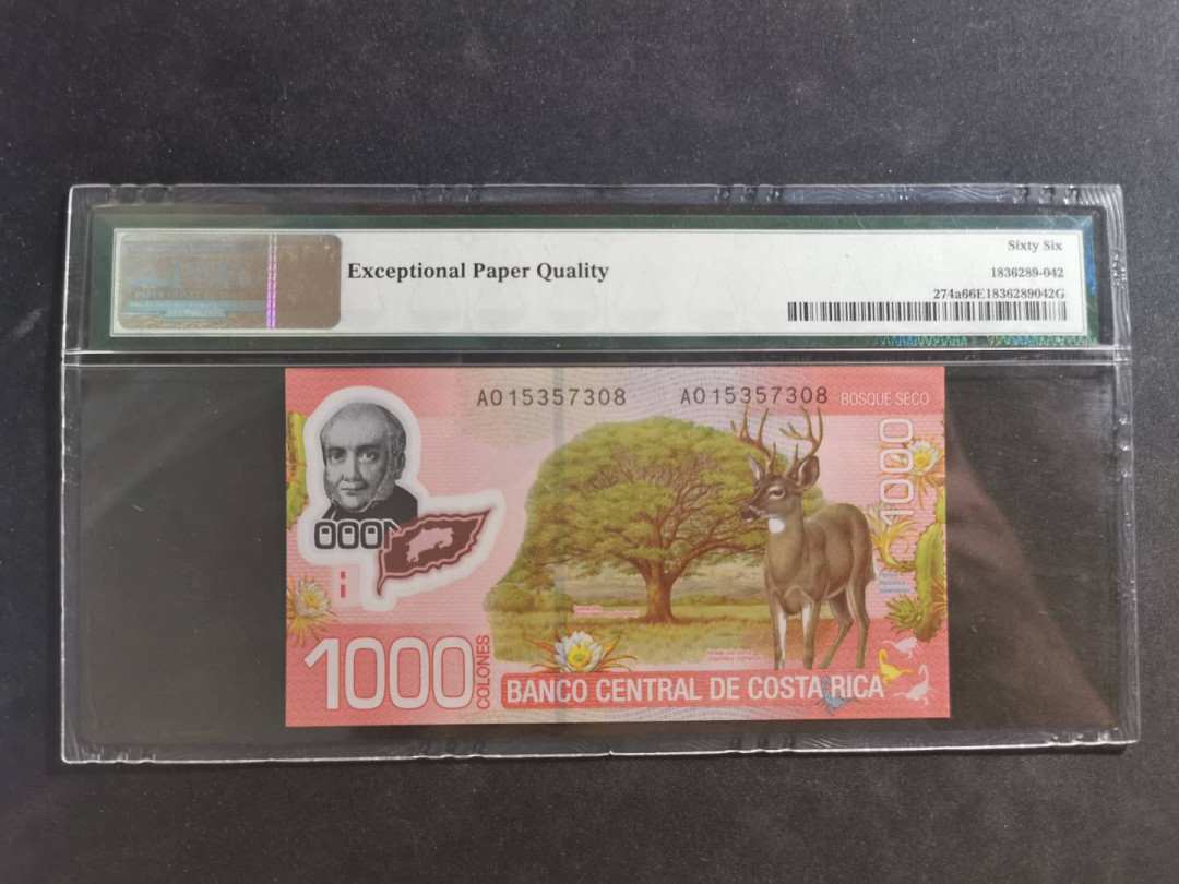 【鲸贝乐淘】千字文·第“笃初诚美，慎终宜令”号拍卖 【哥斯达黎加🇨🇷 】2009年1000元，PMG66E 