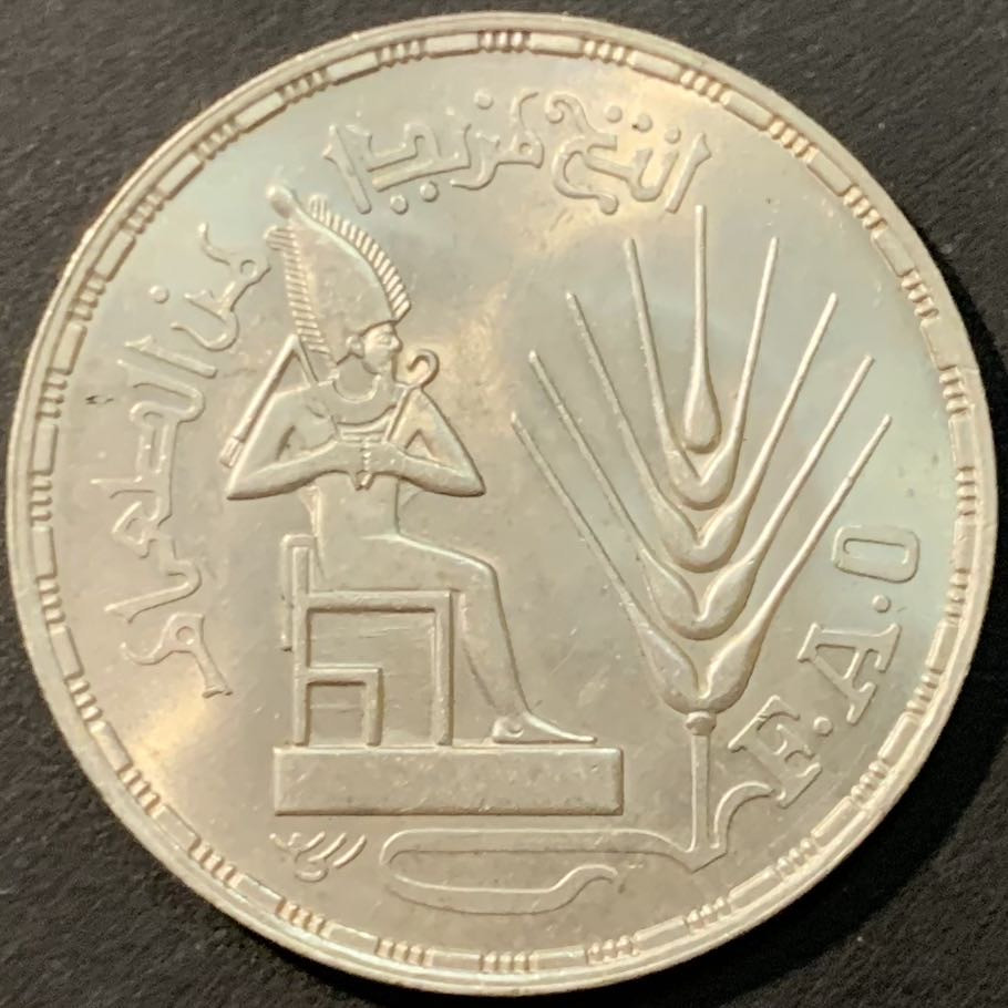 紫瑗钱币—微拍第80期  埃及 1976年 FAO粮农组织 1磅 15克 0.72银 BU