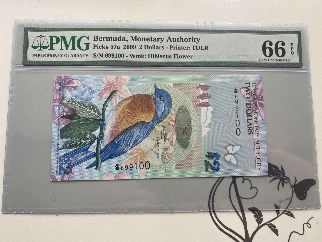 【收藏联盟】第152期拍卖——塞舌尔大海龟（共55拍） 【洋葱冠】百慕大 2009年2元 PMG66EPQ