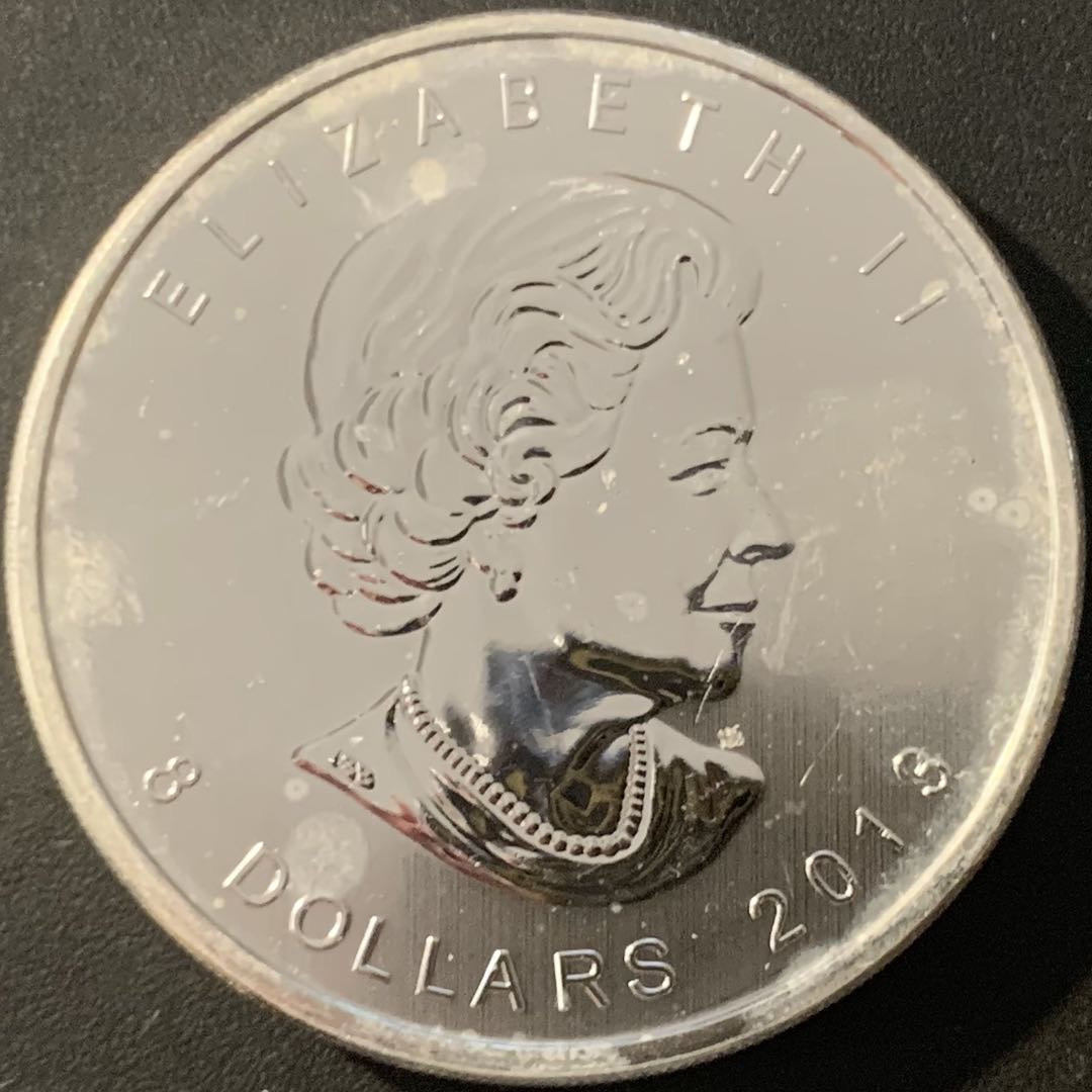 紫瑗钱币—微拍第84期  加拿大 2013年 北极熊  8元 1.5盎司 46.65克 0.9999银 UNC