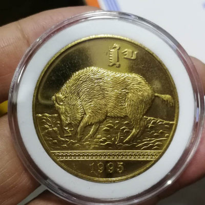 北京马甸外币专卖拍卖第十四期，非贵金属硬币专场，陆续上新，欢迎关注 - 1995年蒙古50图格里克生肖猪纪念铜币。稀少！品相如图