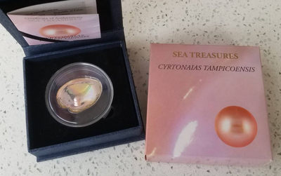 【随心拍&Getcoins】现代钱币拍卖第五十八期 帕劳2013年“玉蚌含珠”珍珠母贝镶嵌银币