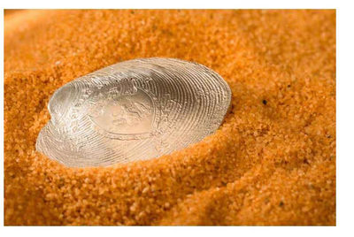 【随心拍&Getcoins】现代钱币拍卖第五十八期 帕劳2013年“玉蚌含珠”珍珠母贝镶嵌银币