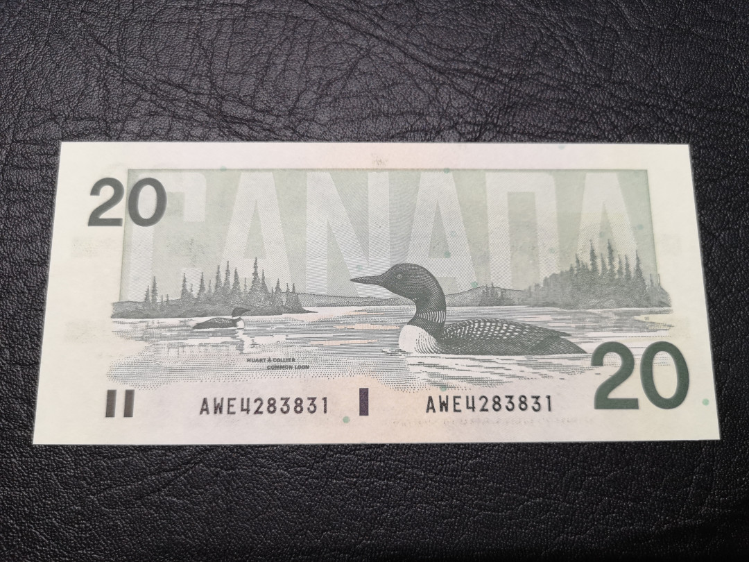 《外钞收藏家》第八十一期拍卖 加拿大鸟版20  全新unc