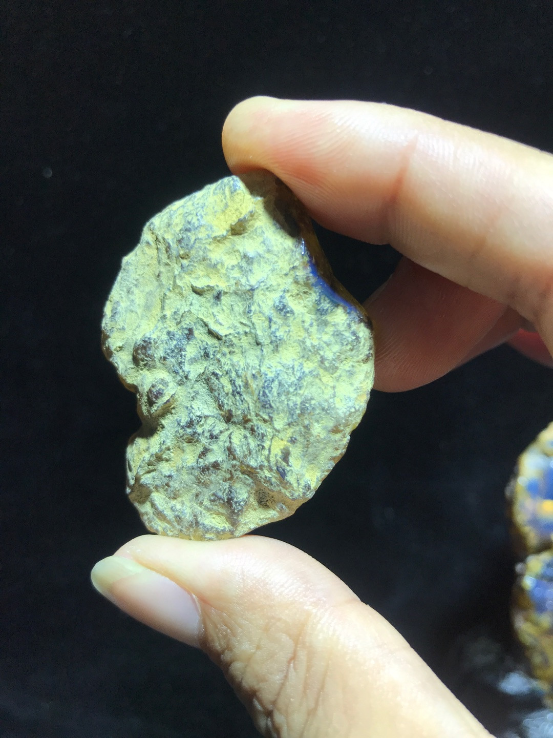 多米尼加蓝珀专场 多米尼加蓝珀原石AAB级（13克）