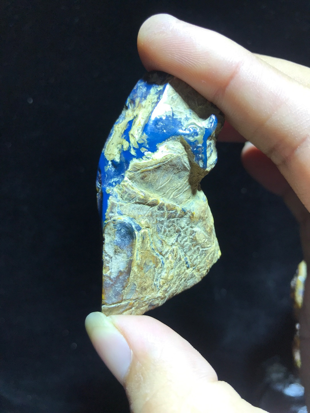 多米尼加蓝珀专场 多米尼加蓝珀原石ABB级（12克）