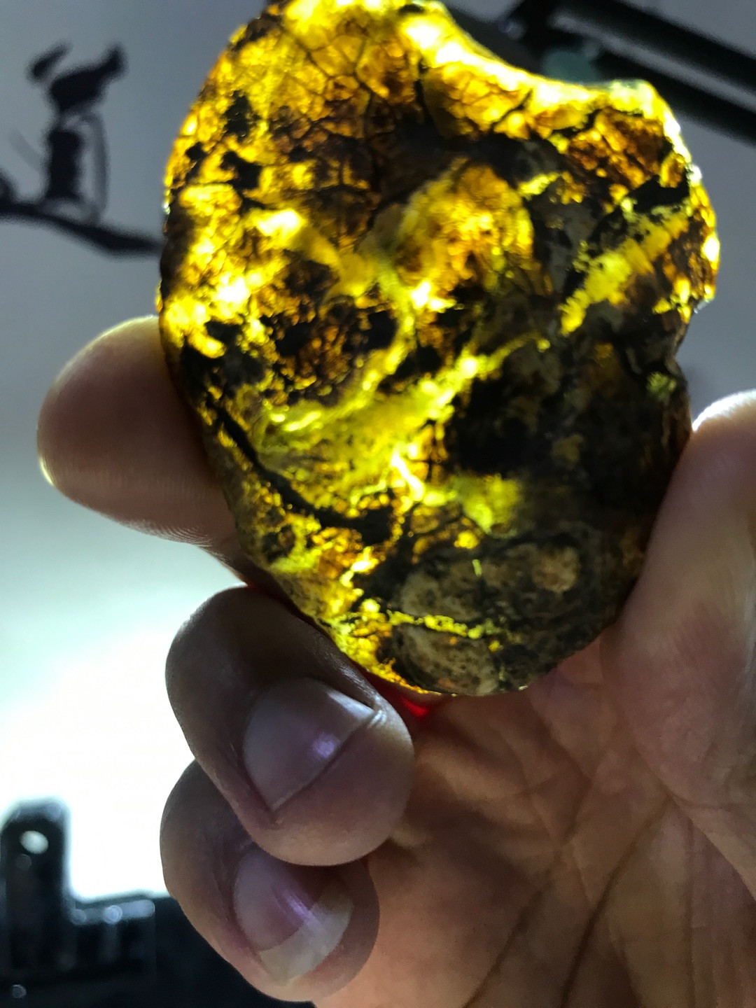 多米尼加蓝珀专场 多米尼加蓝珀原石ABB级（12.4克）