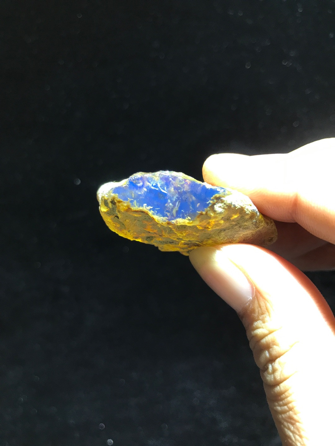 多米尼加蓝珀专场 多米尼加蓝珀原石AAB级（13克）