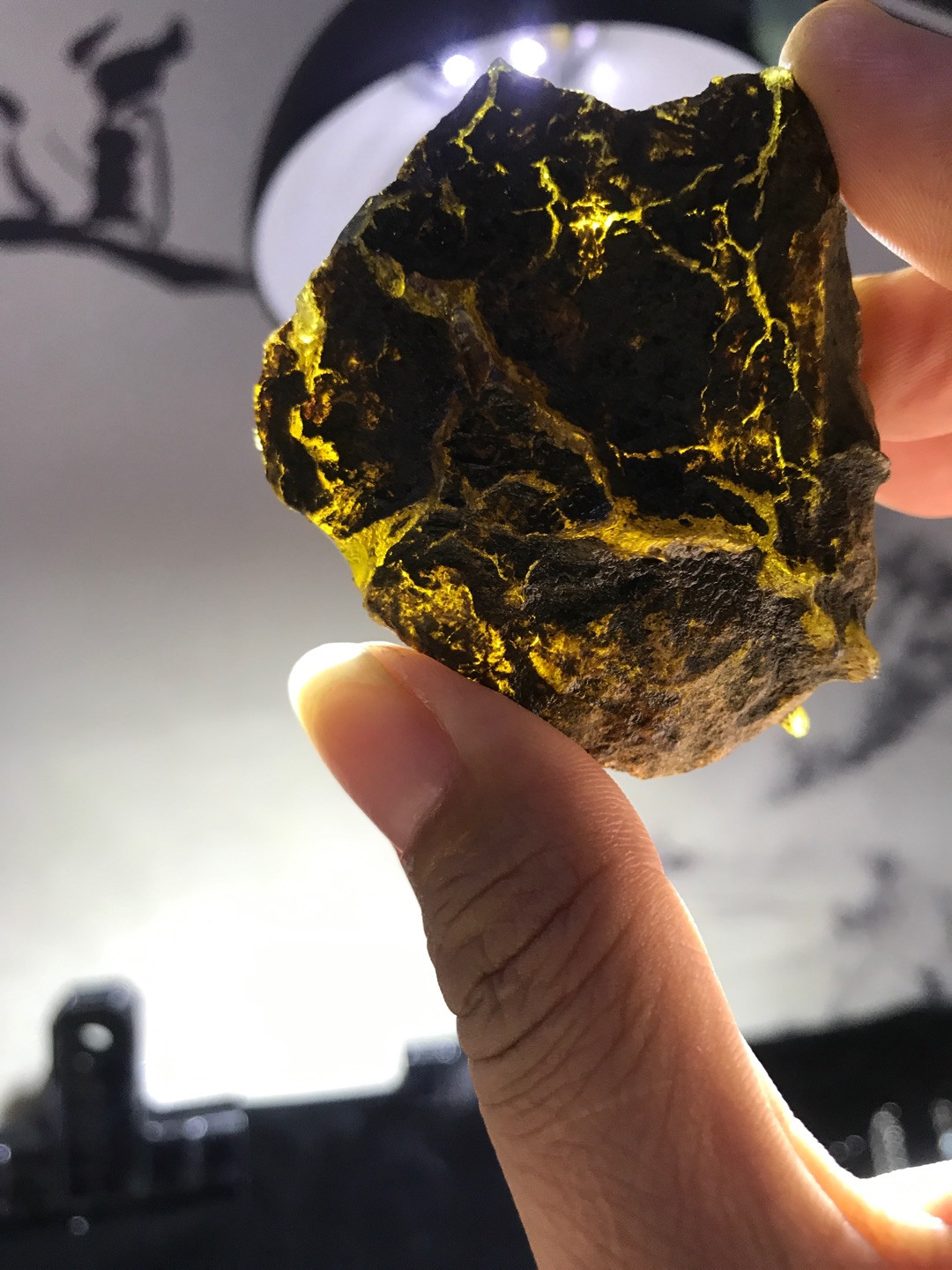 多米尼加蓝珀专场 多米尼加蓝珀原石ABB级（44克）