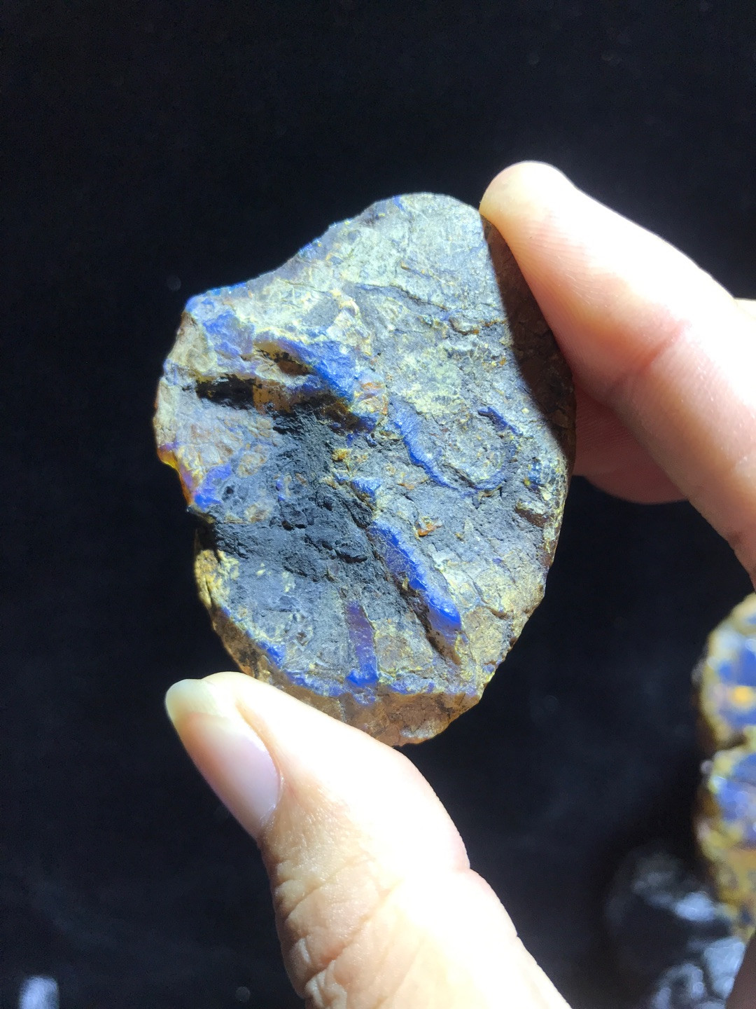 多米尼加蓝珀专场 多米尼加蓝珀原石ABB级（12.4克）