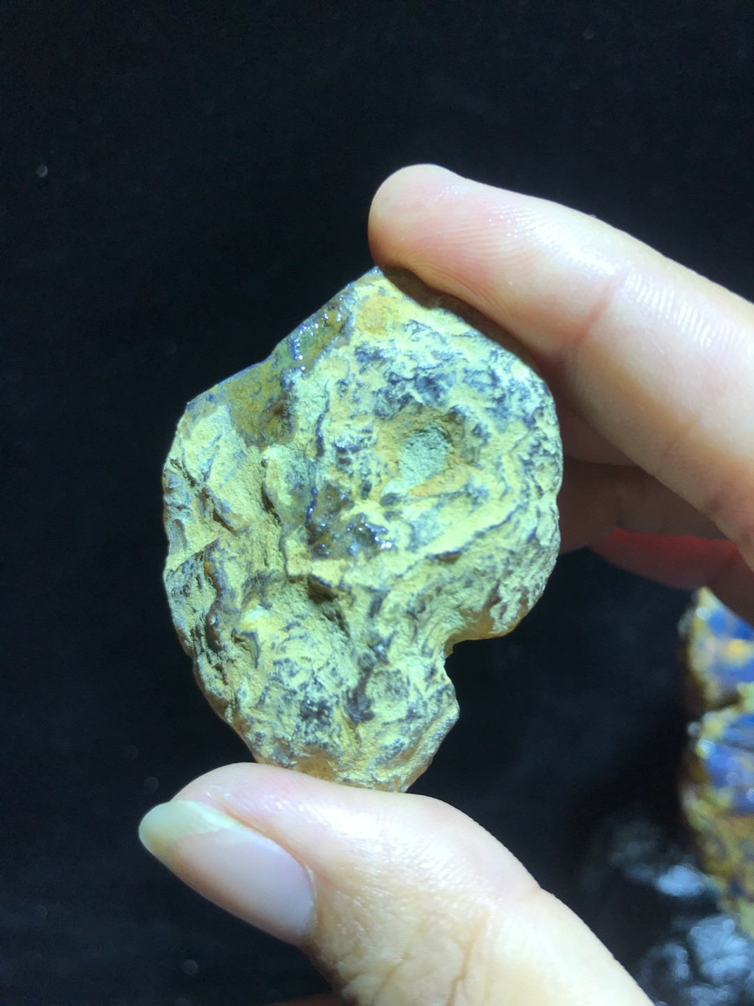 多米尼加蓝珀专场 多米尼加蓝珀原石AAB级（13克）