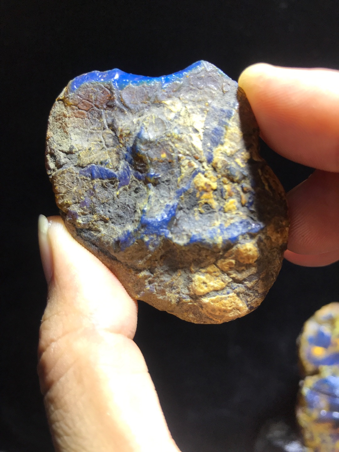 多米尼加蓝珀专场 多米尼加蓝珀原石ABB级（12.4克）