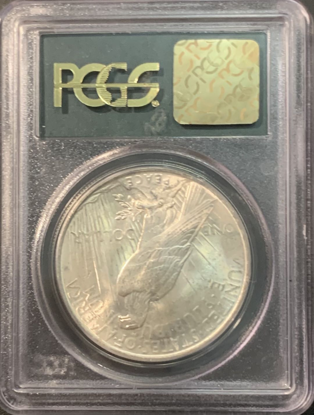 紫瑗钱币—微拍第90期  美国 1923年 和平鸽 1美元 PCGS MS64 经典老绿盒