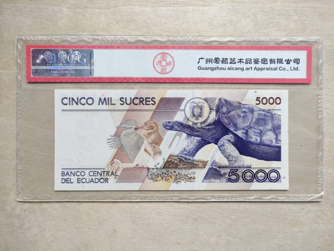 ★币不可少★第126期微拍★快递包邮 厄瓜多尔 大龟 爱藏68