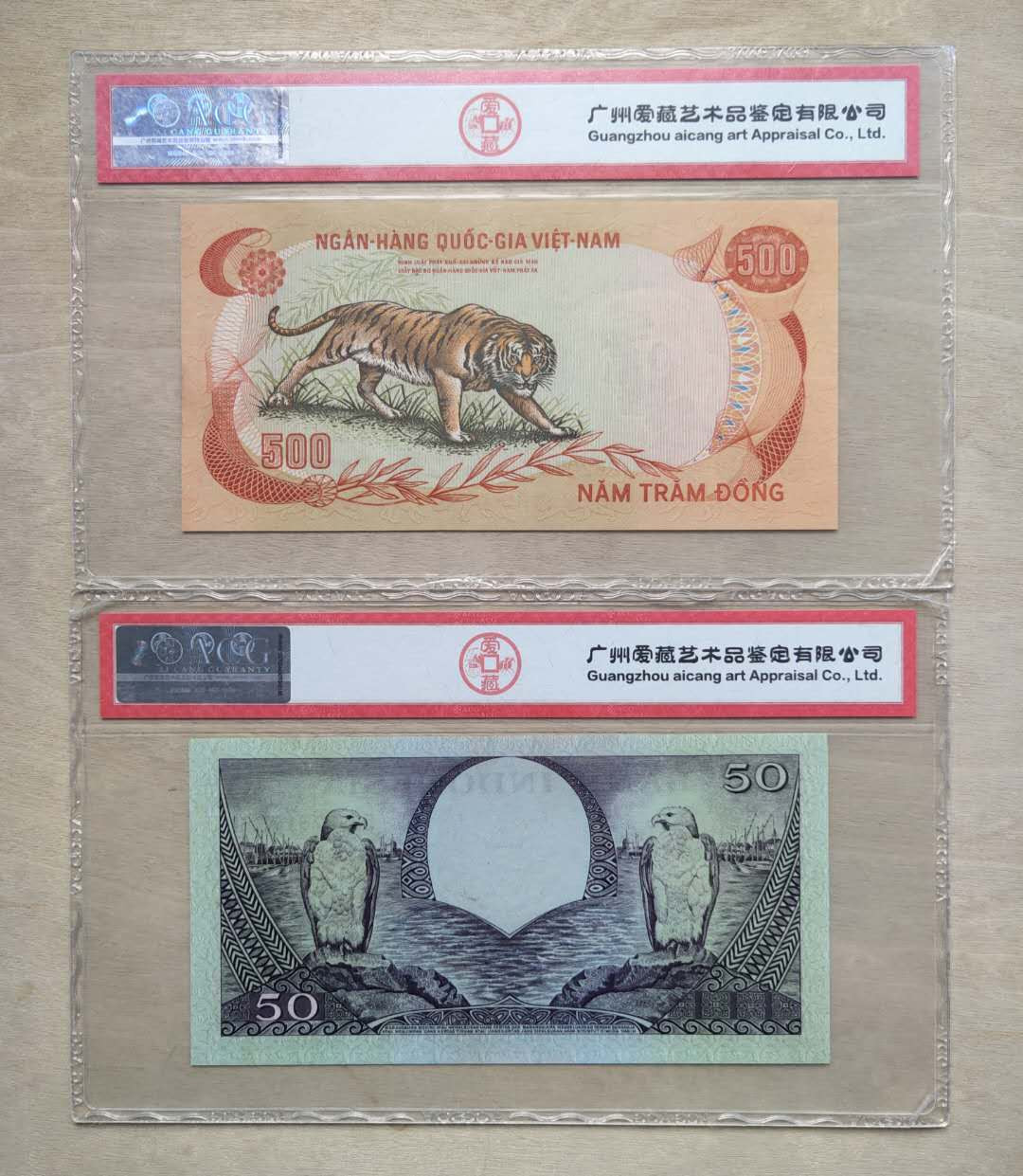 ★币不可少★第126期微拍★快递包邮 南越老虎和印度尼西亚白头鹰