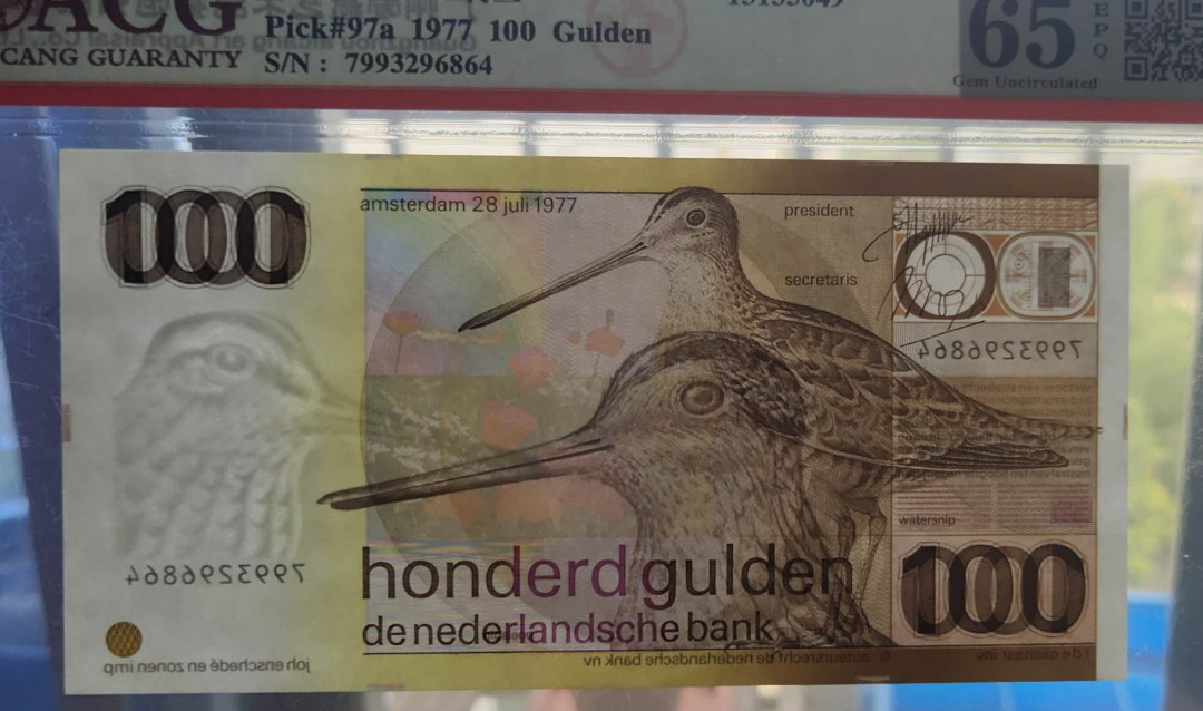 ★币不可少★第126期微拍★快递包邮 全新 没毛病 荷兰🇳🇱 水鸟 100盾 