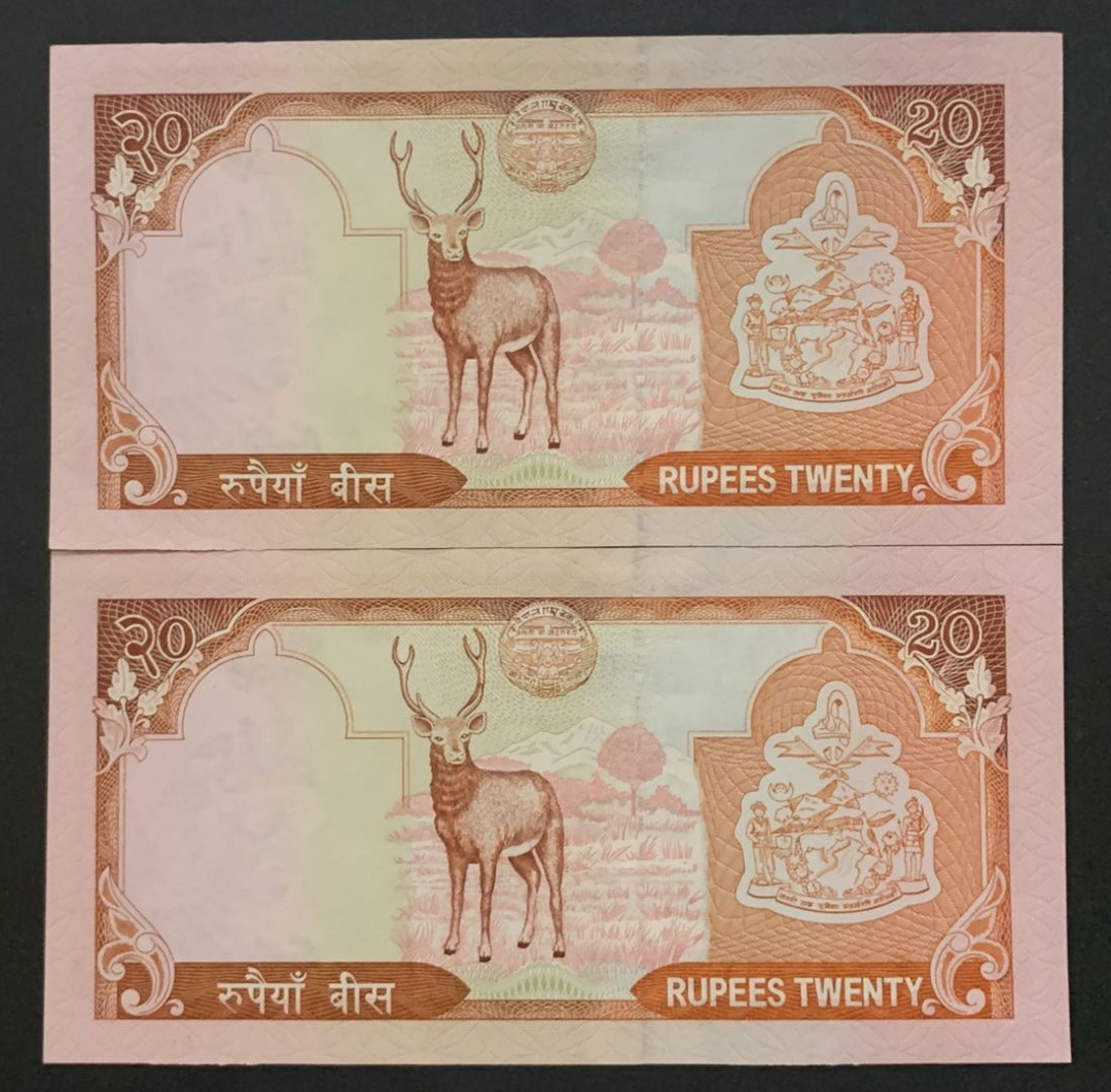 紫瑗钱币——微拍第92期—纸币场 尼泊尔 2002年 20卢比 2枚一组 UNC