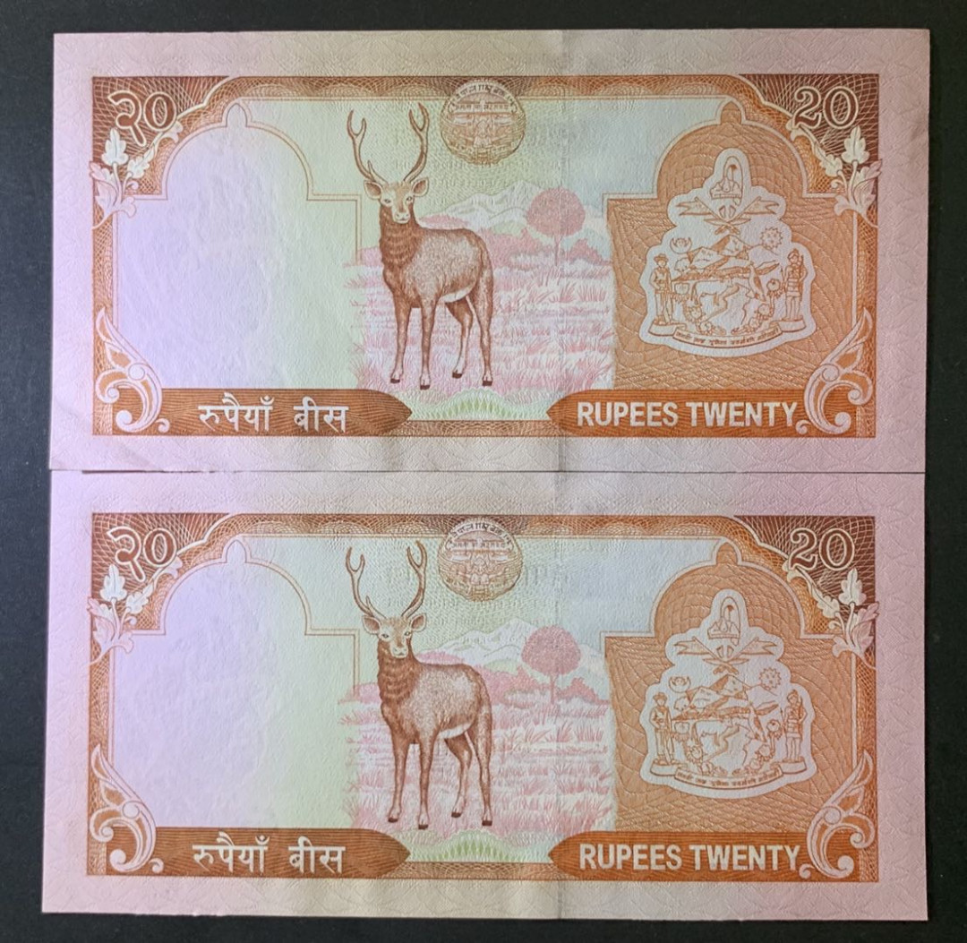 紫瑗钱币——微拍第92期—纸币场 尼泊尔 2002年 20卢比 2枚一组 UNC