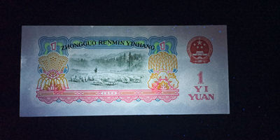 精品荧光拍卖 - 托拉机幸运树荧光