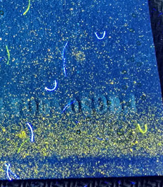 精品荧光拍卖24期 满版颗粒沙＋雾沙＋黄金条　　二连号