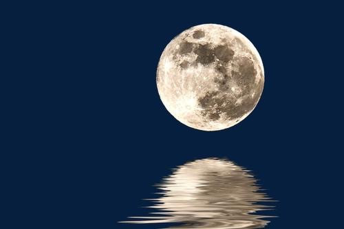 志恒钱币微拍低65期0元放漏 月亮币补号一张，众城评级