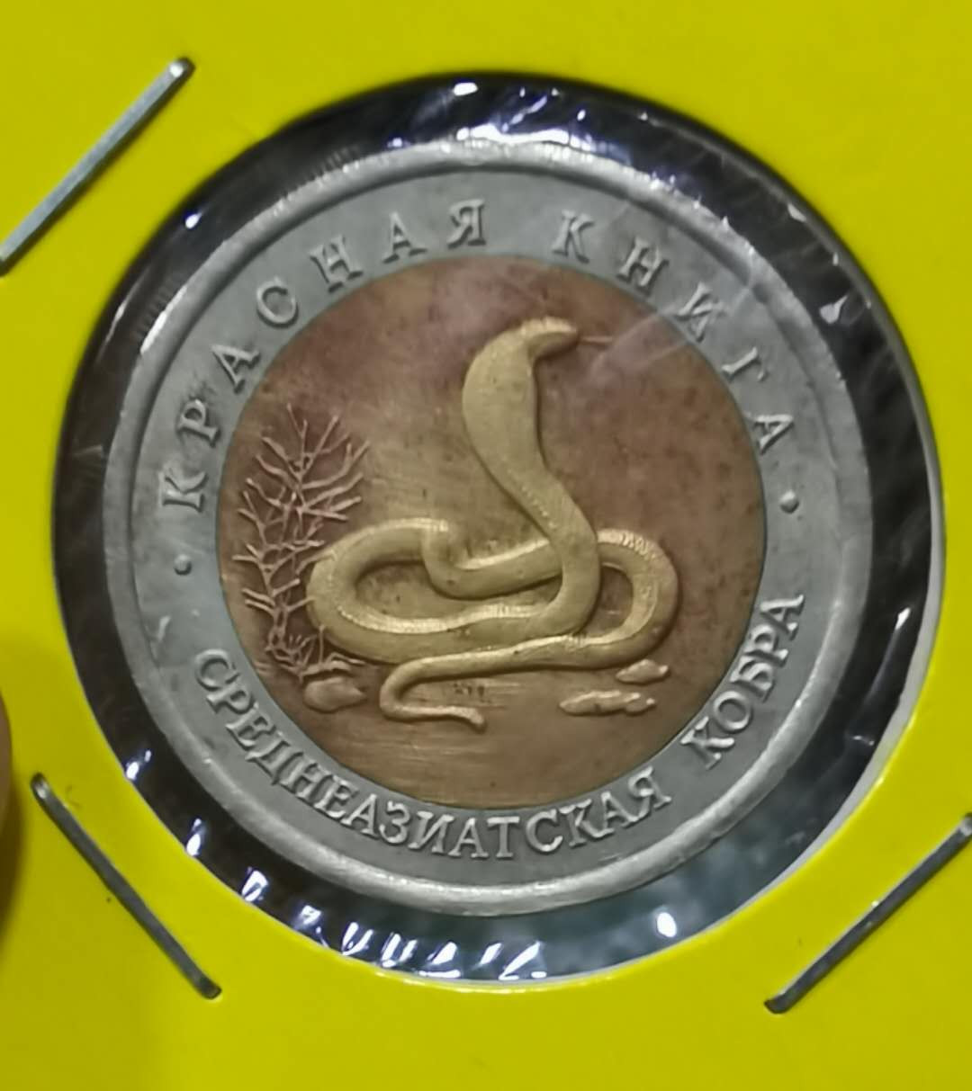 北京马甸外币专卖拍卖第十七期，非贵金属专场，陆续上新欢迎关注 1992年俄罗斯野生动物保护系列蛇10卢布双金属纪念币。品相如图