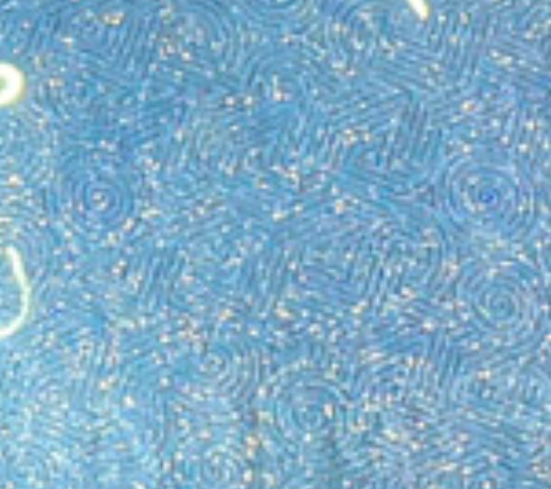 精品荧光拍卖24期 满版雾沙标十