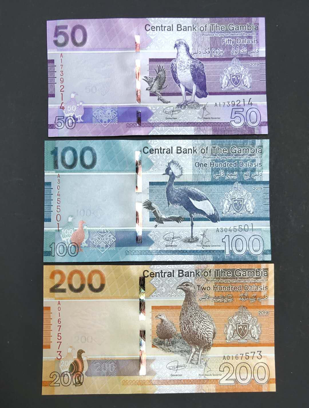 ★币不可少★第127期微拍★快递包邮 冈比亚6张全套 鸟版 非洲风土人情 全新