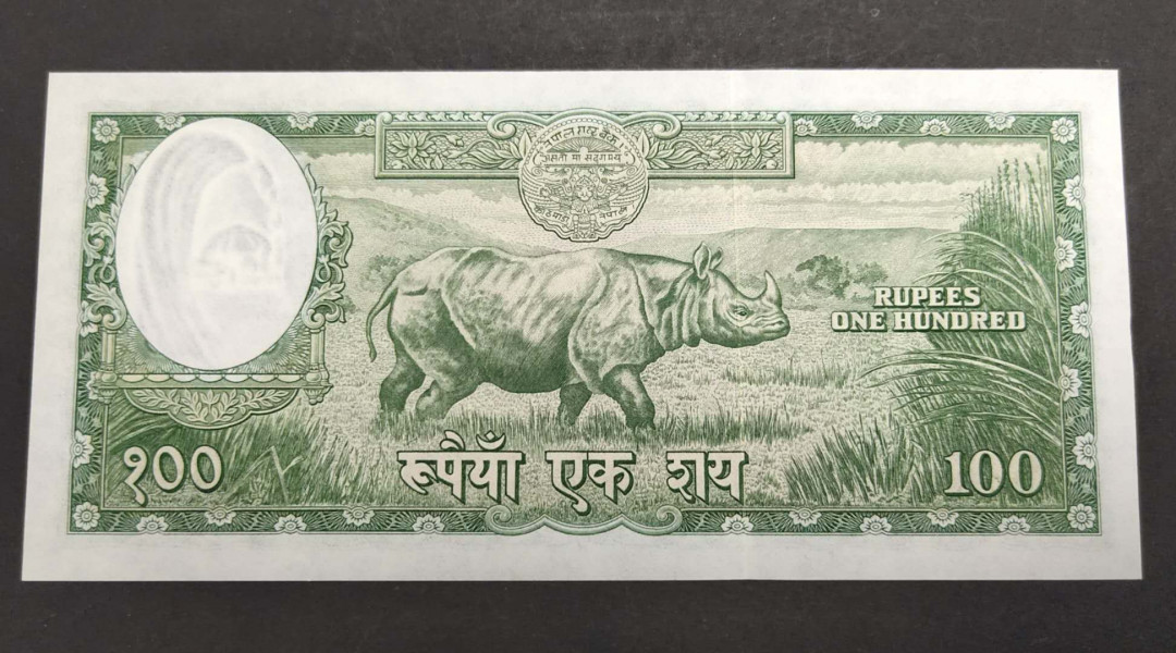 ★币不可少★第127期微拍★快递包邮 尼泊尔 早期大票幅 大犀牛全新