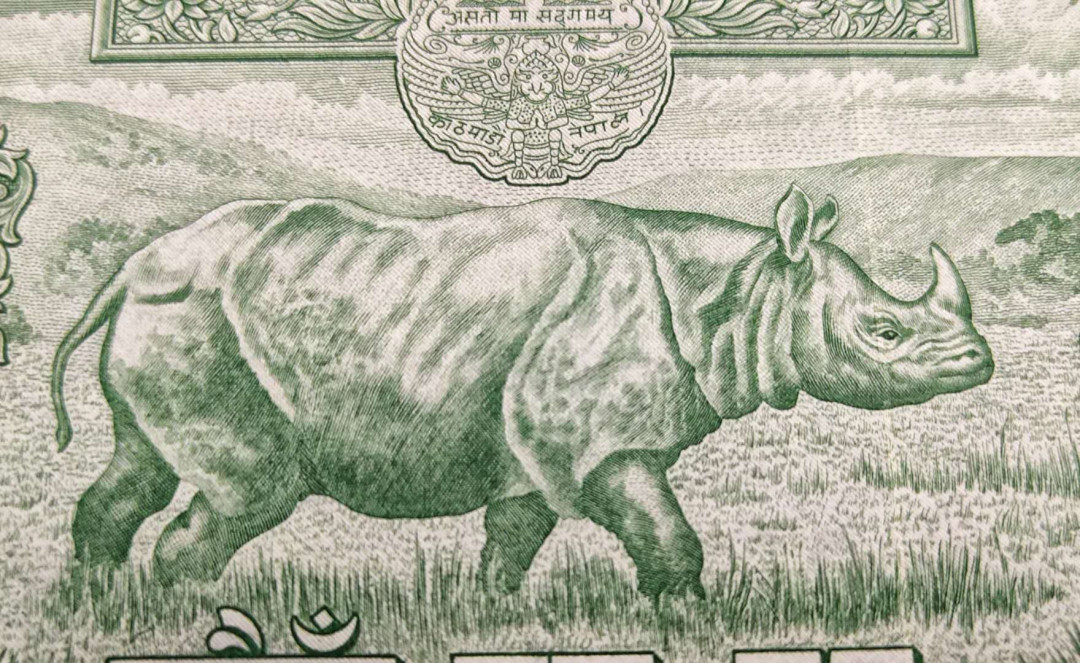 ★币不可少★第127期微拍★快递包邮 尼泊尔 早期大票幅 大犀牛全新