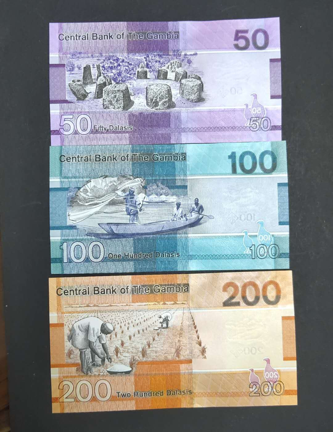 ★币不可少★第127期微拍★快递包邮 冈比亚6张全套 鸟版 非洲风土人情 全新