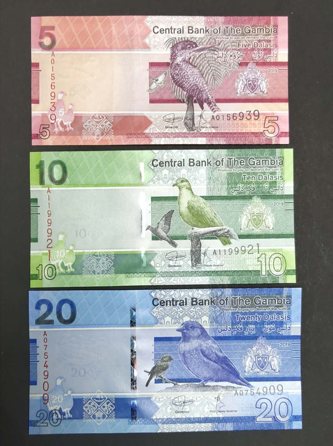 ★币不可少★第127期微拍★快递包邮 冈比亚6张全套 鸟版 非洲风土人情 全新