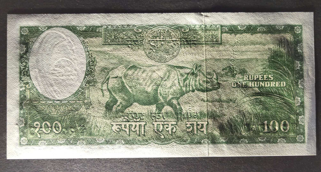 ★币不可少★第127期微拍★快递包邮 尼泊尔 早期大票幅 大犀牛全新