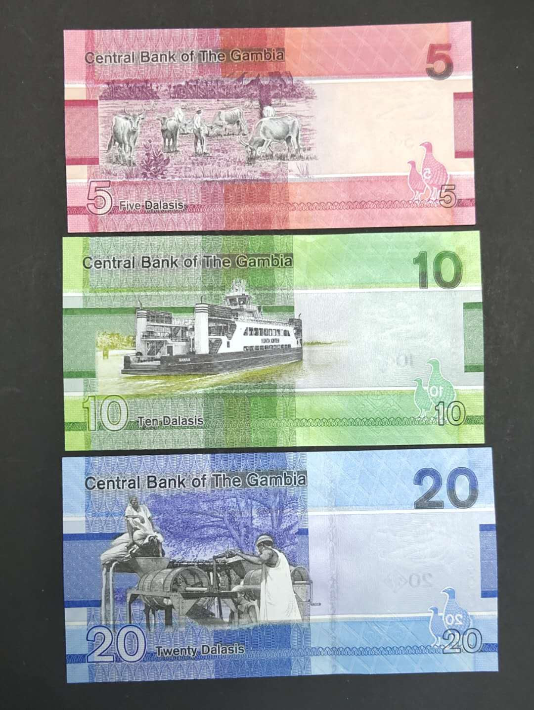 ★币不可少★第127期微拍★快递包邮 冈比亚6张全套 鸟版 非洲风土人情 全新