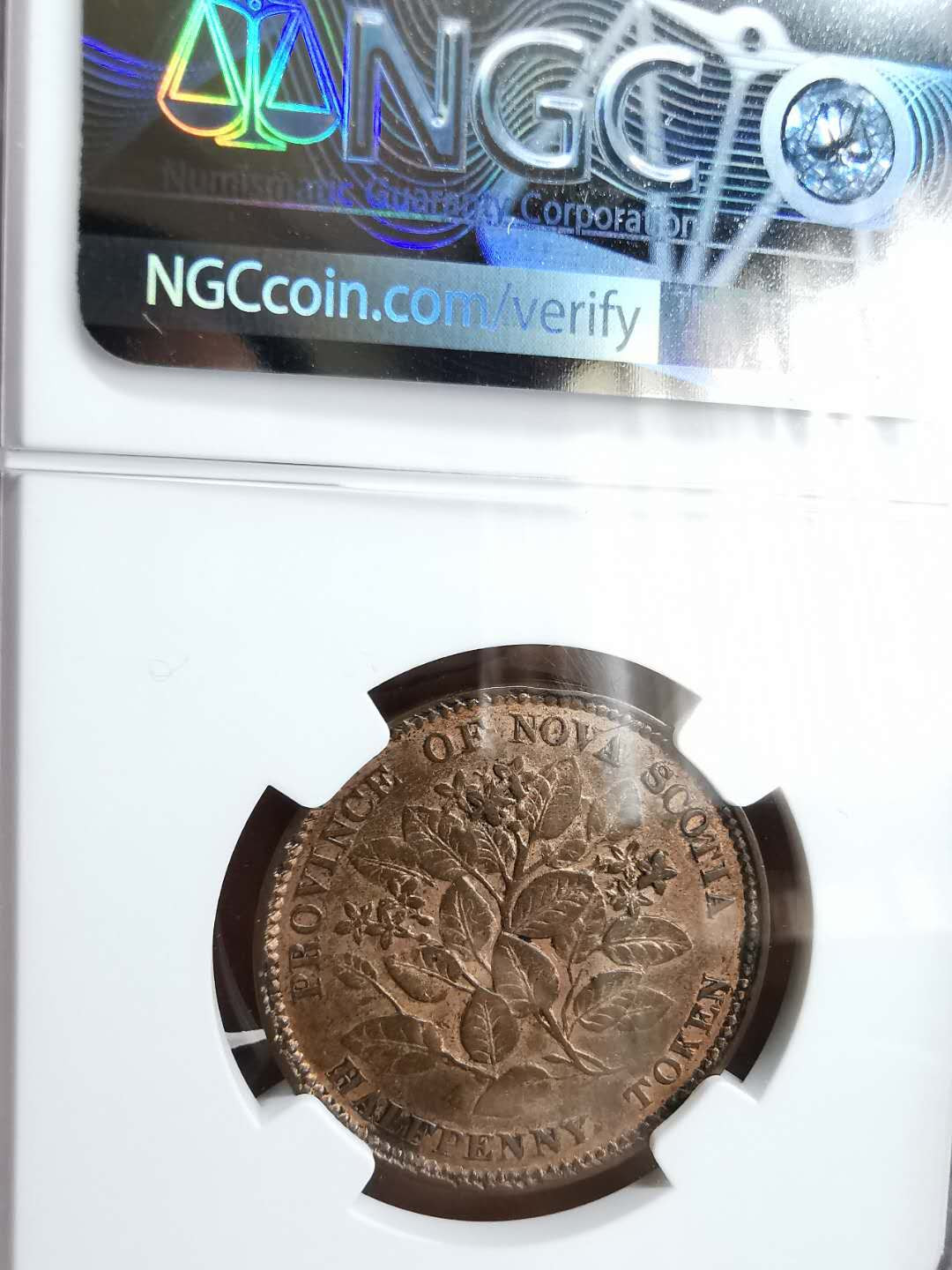 凡希社世界钱币微拍第一百二十九期 1856新斯科舍1/2便士NGC-XFD