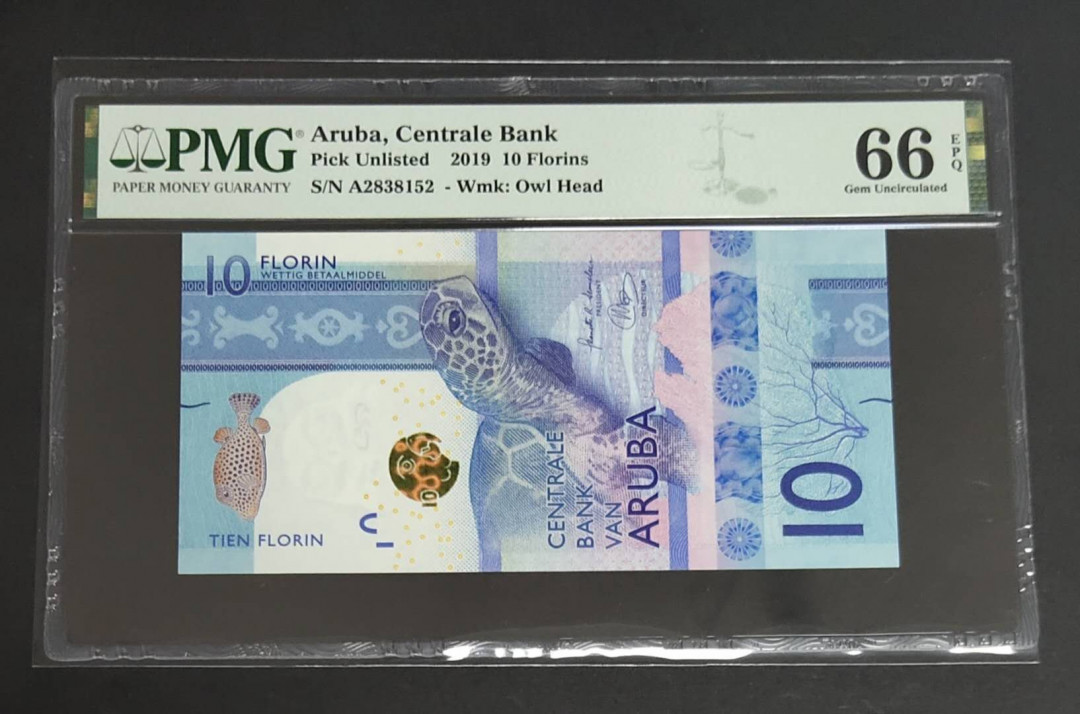 ★币不可少★第127期微拍★快递包邮 阿鲁巴 大龟