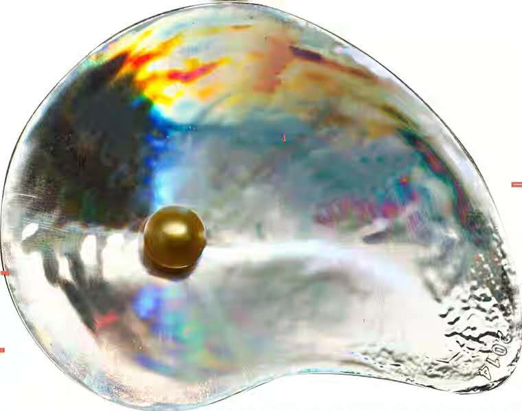 【币观天下】第118期钱币拍卖 帕劳2014年玉蚌含珠幻彩银币