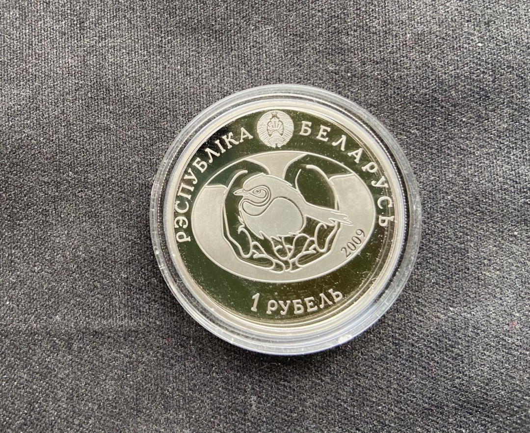 【币观天下】第118期钱币拍卖 【白俄罗斯】白俄罗斯 2009年发行鸟系列之灰雁精致纪念镍币