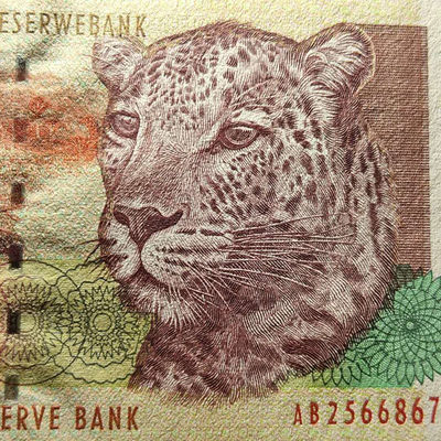 ★币不可少★第128期微拍★快递包邮 - 南非🇿🇦 初版 豹子头 全新