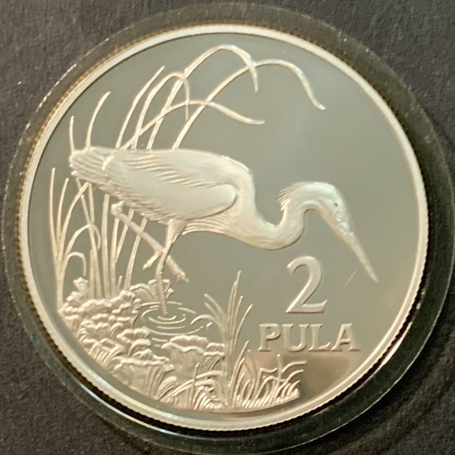紫瑗钱币——微拍第98期 博茨瓦纳 1986年 WWF世界濒危野生动物 鹳 2帕拉 28.28克 0.925银 精制 