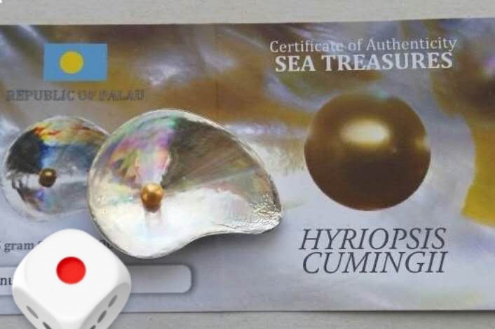 【币观天下】第120期钱币拍卖～ 帕劳2014年“玉蚌含珠”三角帆蚌镶嵌银币