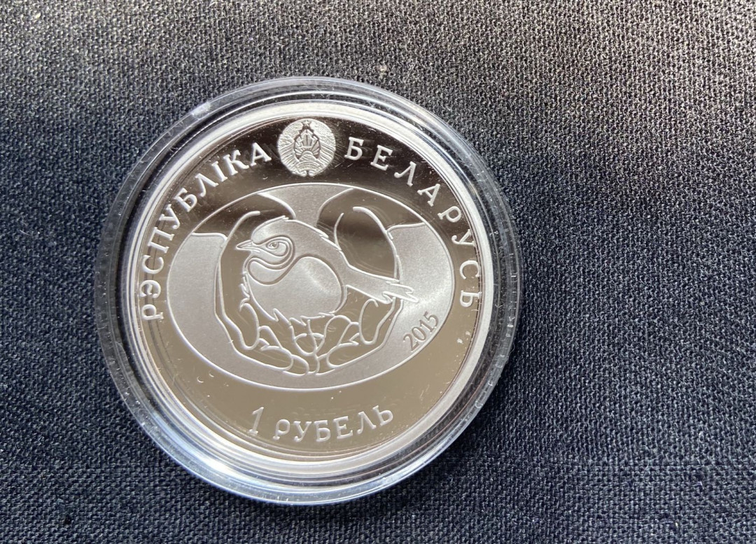 【币观天下】第120期钱币拍卖～ 【白俄罗斯】2015年长耳猫头鹰镍币