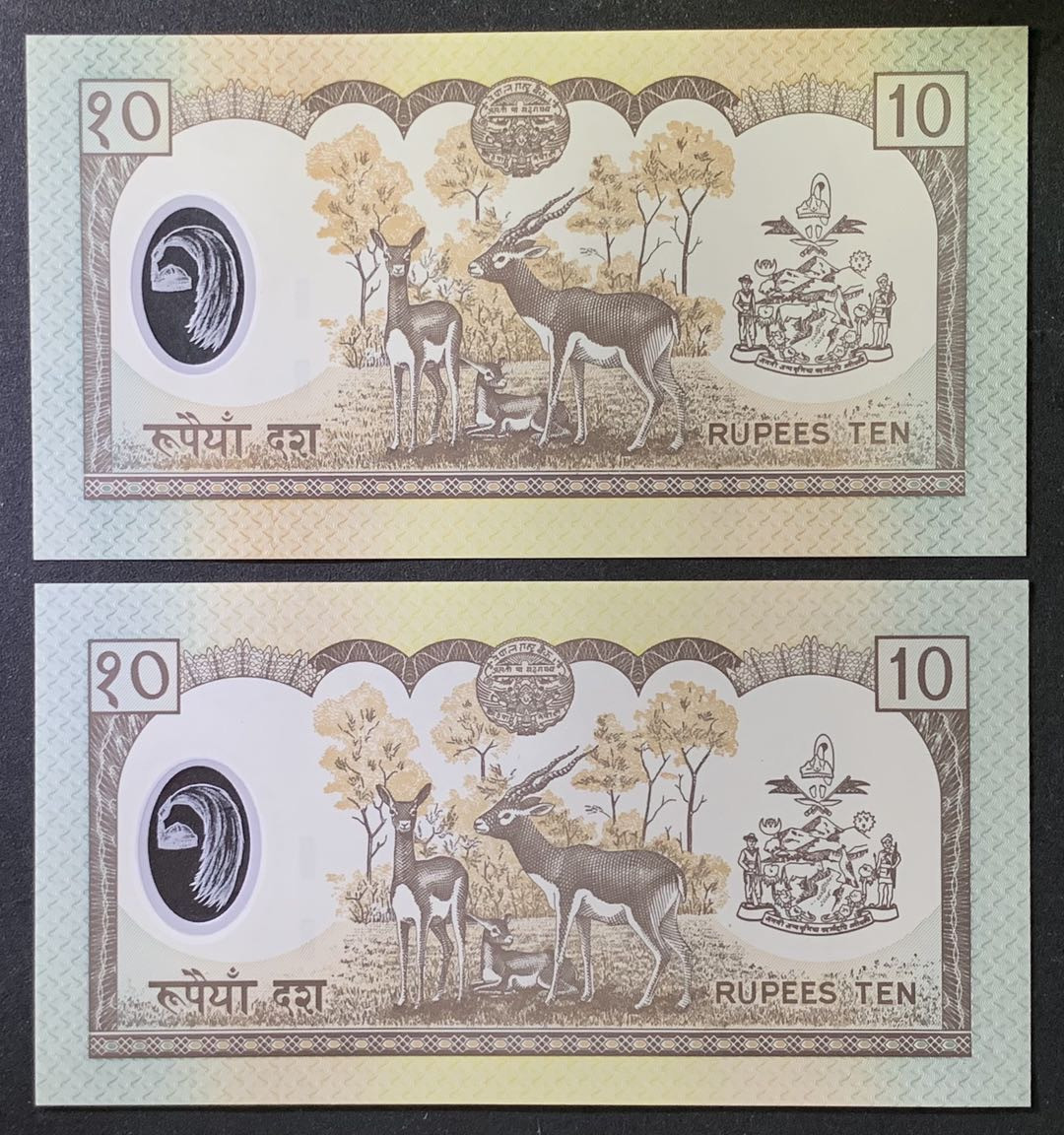 紫瑗钱币——微拍第102期—纸币场 尼泊尔 2005年 贾南德拉国王 10卢比 2枚一组 UNC （P-54）