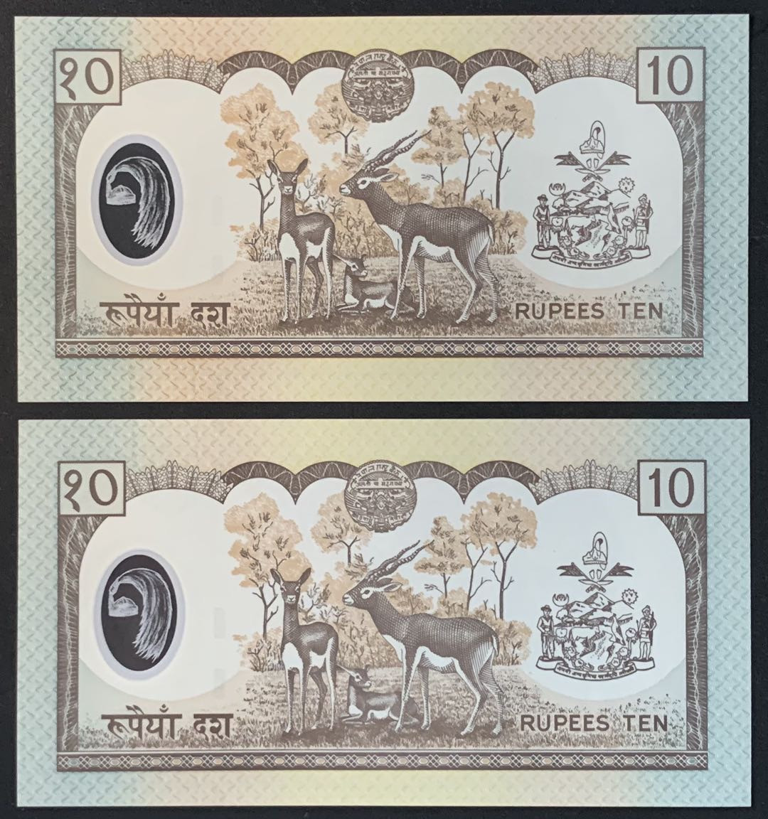 紫瑗钱币——微拍第102期—纸币场 尼泊尔 2005年 贾南德拉国王 10卢比 2枚一组 UNC （P-54）